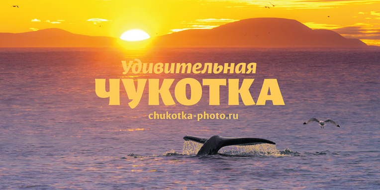   (Amazing Chukotka)